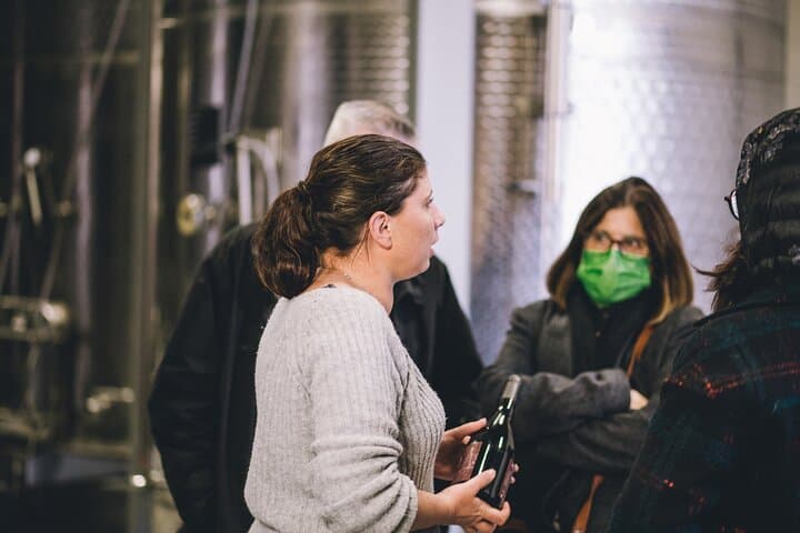 Wine and Charcuterie Cheese Tasting Tour in Boisset
