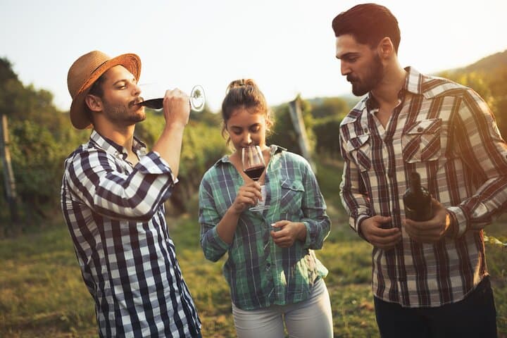 Private Walking Tour Northern Rhône Wine Heritage Lyon