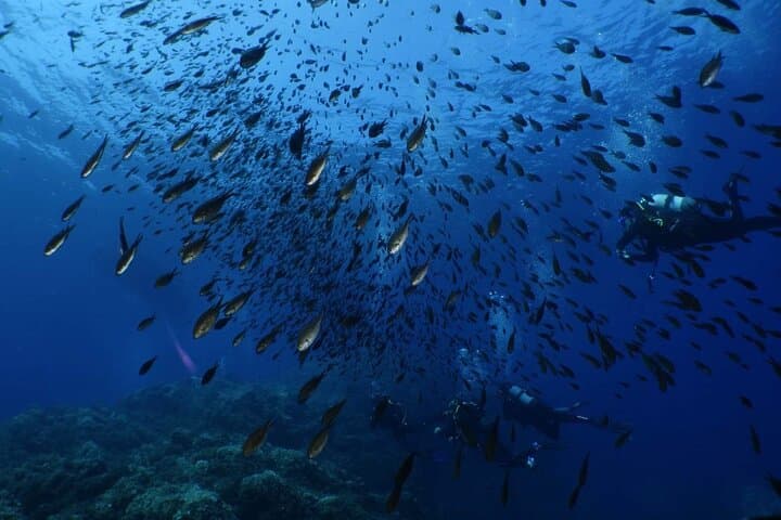 Private diving baptism in the Golf of Calvi