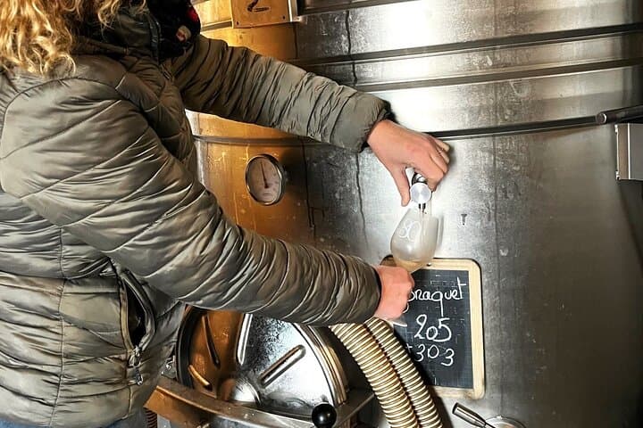 Half day Wine Tour in Côteaux Aix from Aix en Provence