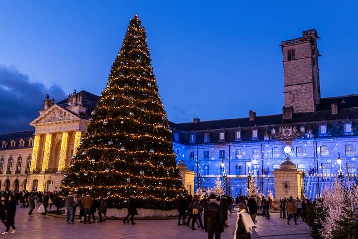 3 Hour Private Tour of Dijon - with CDG Airport Transfer