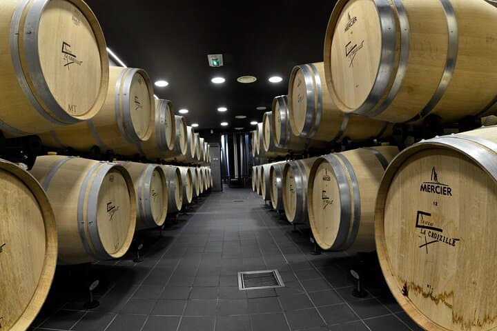 Saint-Emilion Grand Cru Classé: Gourmet Tour in Spanish