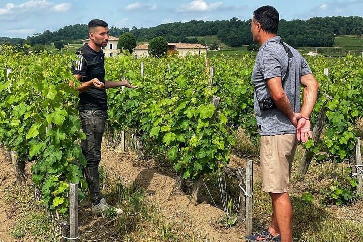 Saint-Émilion: 2 hours - Visit of the vineyard, the cellar and tasting