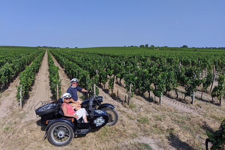 Private ride through the vineyards from Saint-Emilion - 1h30