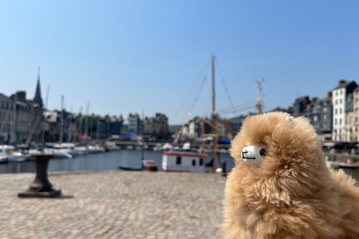 Private Guided Tour In Normandy - Rouen, Honfleur, Etretat