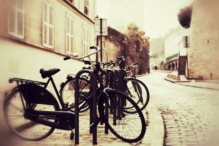 Paris : 3-Hour Bike Tour Highlights With A Guide (Private tour)