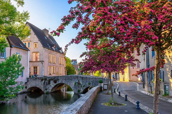 Private tour of Chartres from Paris
