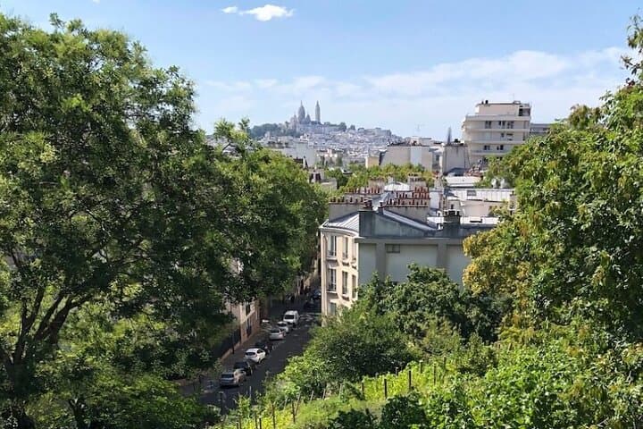 Guided tour of Buttes Chaumont and its surroundings