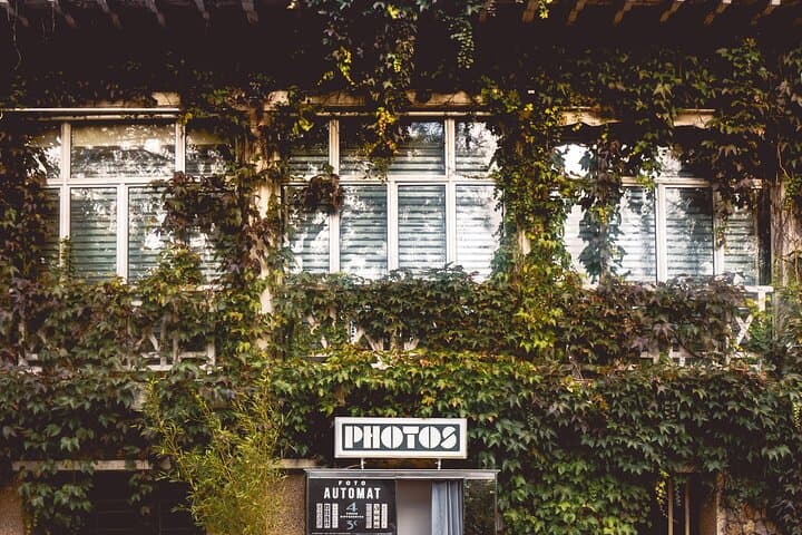 Guided tour of Buttes Chaumont and its surroundings