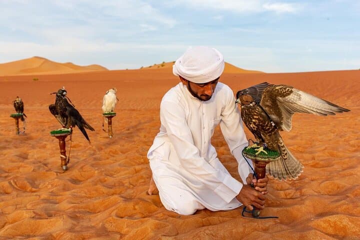 Half-Day Dubai Dunes Desert Safari Experience