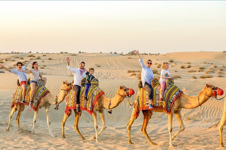 Half-Day Dubai Dunes Desert Safari Experience