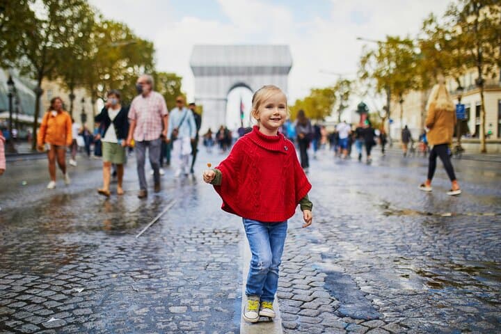 Petit Palais Paris Museum of Fine Arts Tour with Tickets
