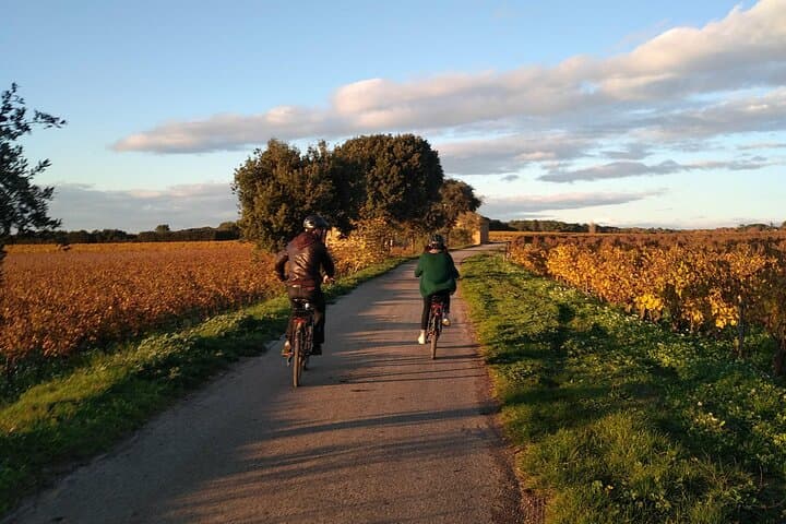 Wine of the Luberon by e-bike... Not to be missed !