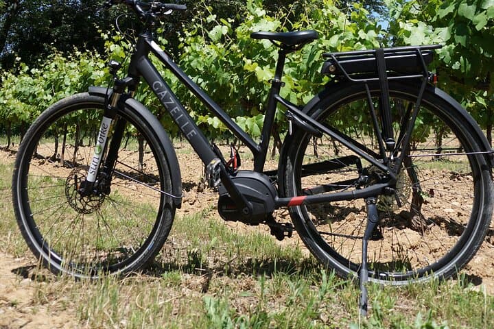 Full day E-Bike rental in the Alpilles