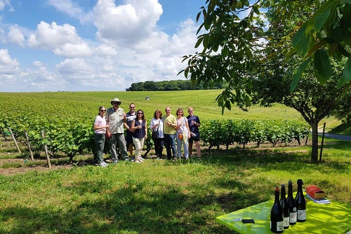 Loire Valley from Amboise : Azay le Rideau, Villandry, 2 Wineries