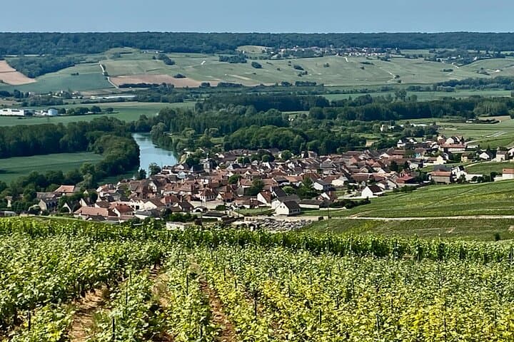 Hautvillers Viewpoint