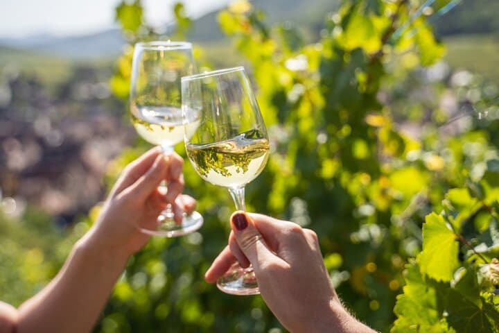 French Riviera, Wine tasting, Provencal market and Countryside