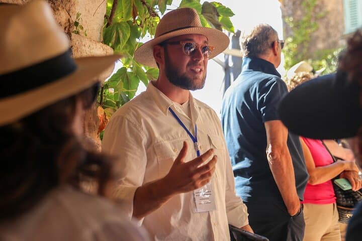 Private Full-Day Tour and Shore Excursion in Nice, Eze & Monaco