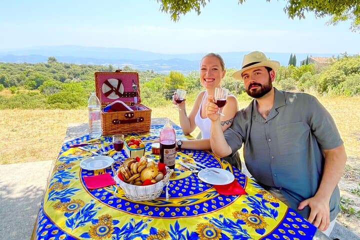 A day in the Lavenders and Villages of Provence