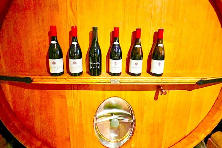 3 hours of Tour in the Wines of Châteauneuf-du-Pape