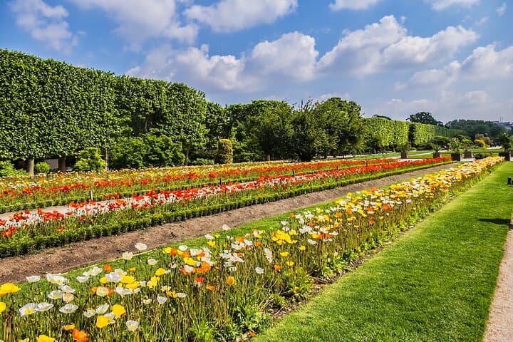 Museum of Natural History, Jardin des Plantes Tour Paris