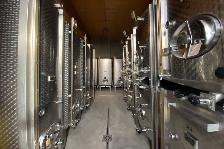 Cellar tour & tasting of organic wines with a feminine touch