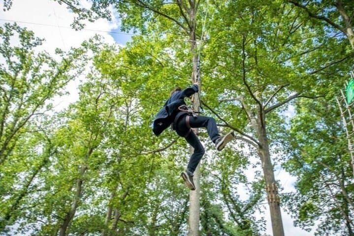 Chartres - Tree-top adventure