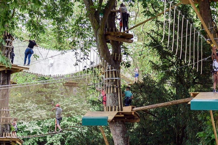 Chartres - Tree-top adventure