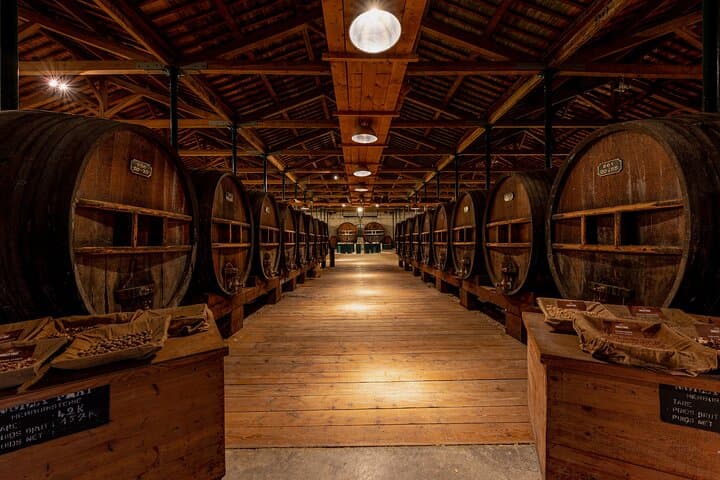 Maison Noilly Prat VIP tour, wine and vermouth tastings
