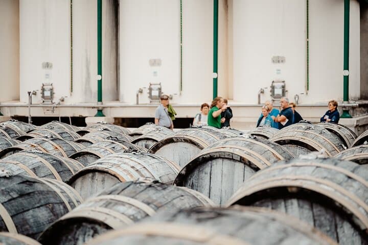 Maison Noilly Prat VIP tour, wine and vermouth tastings