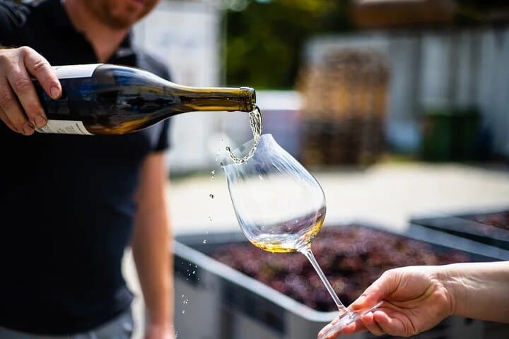 Champagne Region excursion from Paris with Private Driver