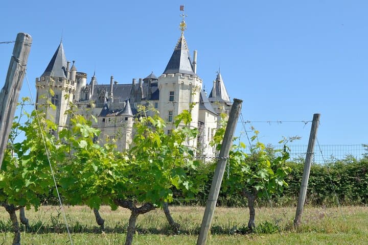 Loire Valley vineyard