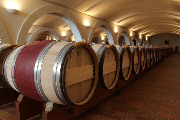 Saint Emilion Half Day Ebike and Wine Tour with Picnic.