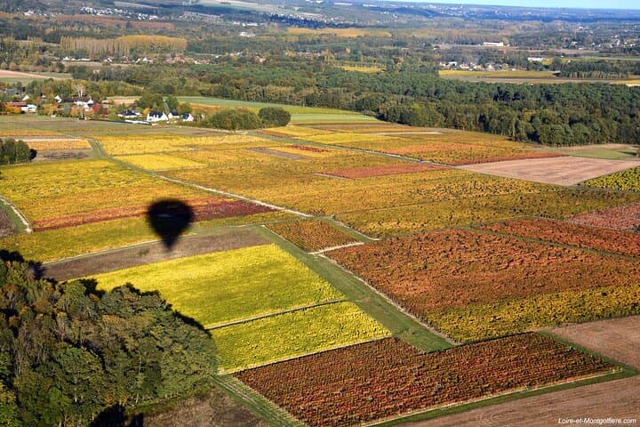 Hot Air Balloon Flight in Loire Valley