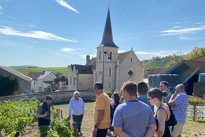Private Sancerre vineyards & cellars tour from Paris + Sommelier