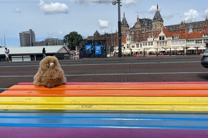 A 3 Days Tour of Belgium and Netherlands from Paris