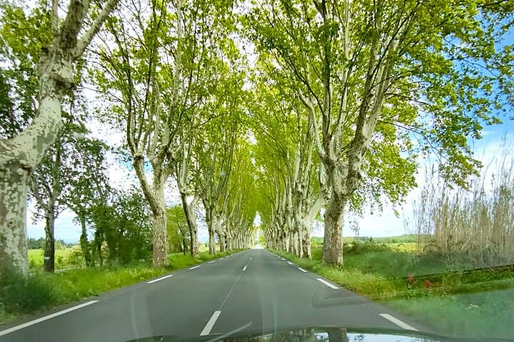 Road st Rémy de Provence