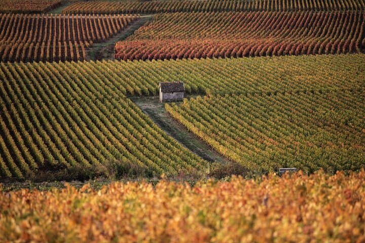Luxurious Wine Tour in Burgundy