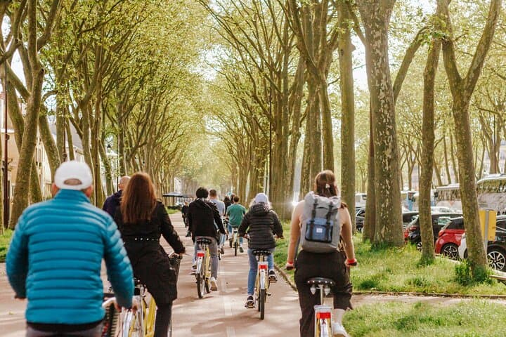 Cruising the tree-lined paths