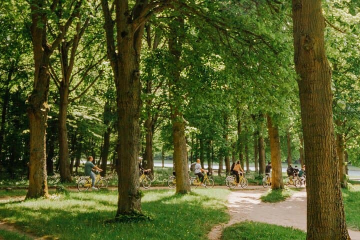 In the royal forest