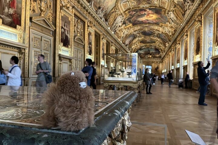 Louvre: All the stars of museum - Private guided 3h tour & entry