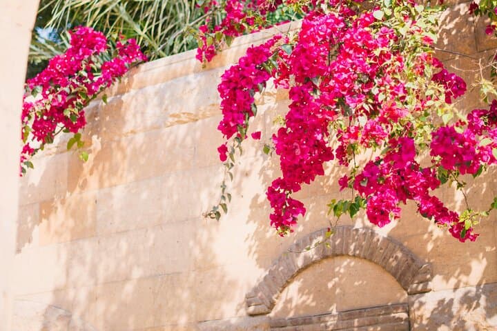 Private Tour from Saint-Tropez to the flowers city