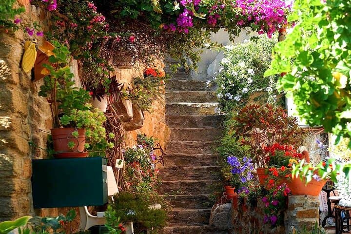 Private Tour from Saint-Tropez to the flowers city