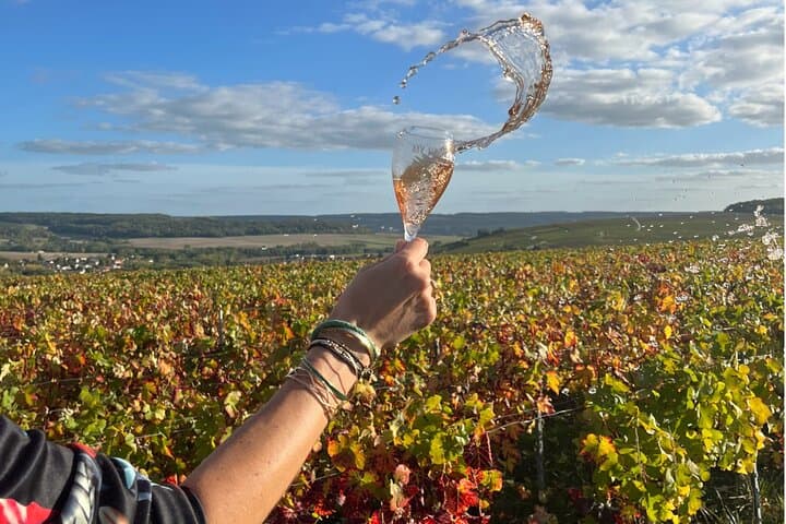 Sancerre Private Wine Day from Paris with 10 Tastings & Lunch