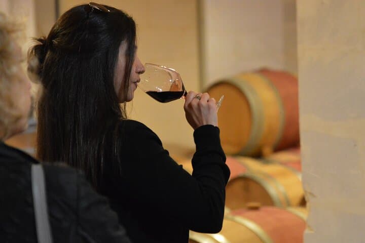 Half-Day Wine tour across Bordeaux’s Vineyards