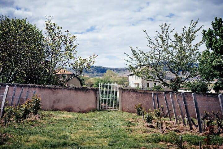 The Clos de London plot