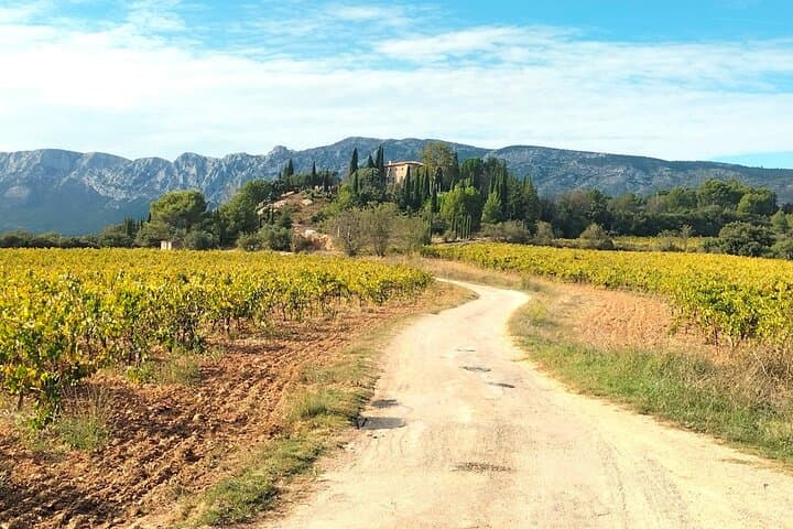Essence of Provence in One Day: Aix, Wine Tour & Villages