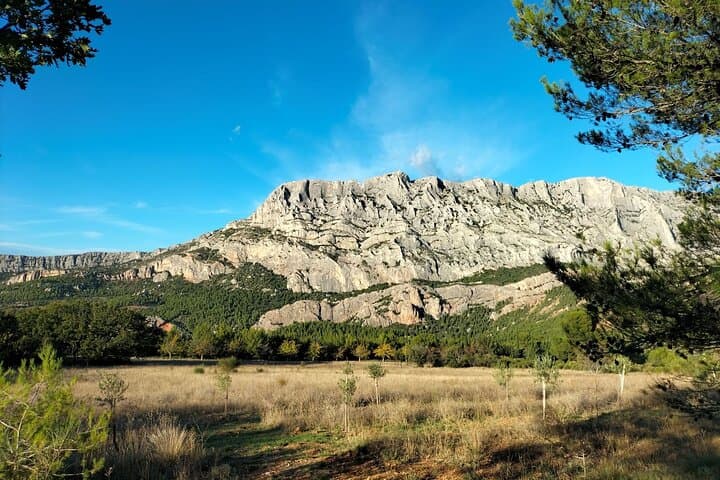 Essence of Provence in One Day: Aix, Wine Tour & Villages
