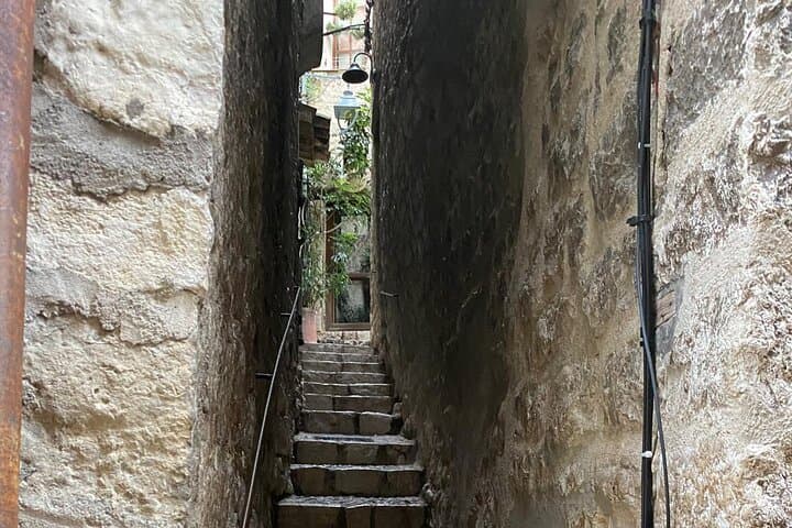 Shore Excursion Private Tour from Cannes