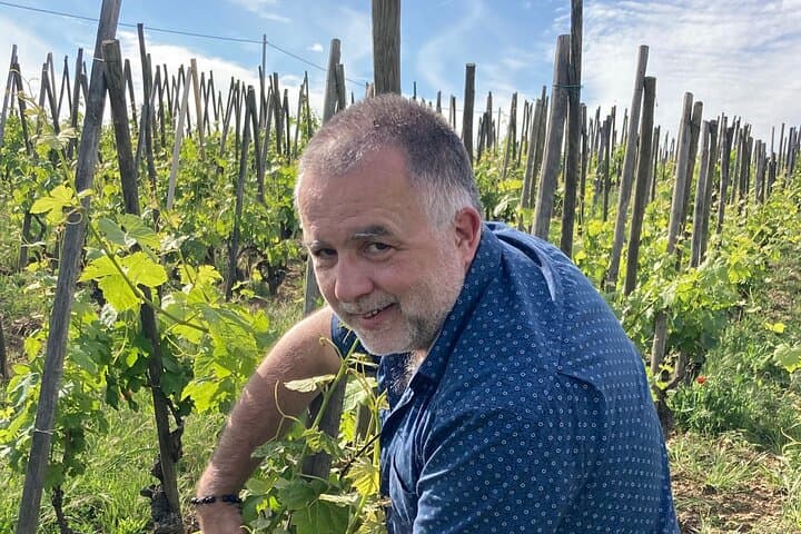 The vineyard in all its forms